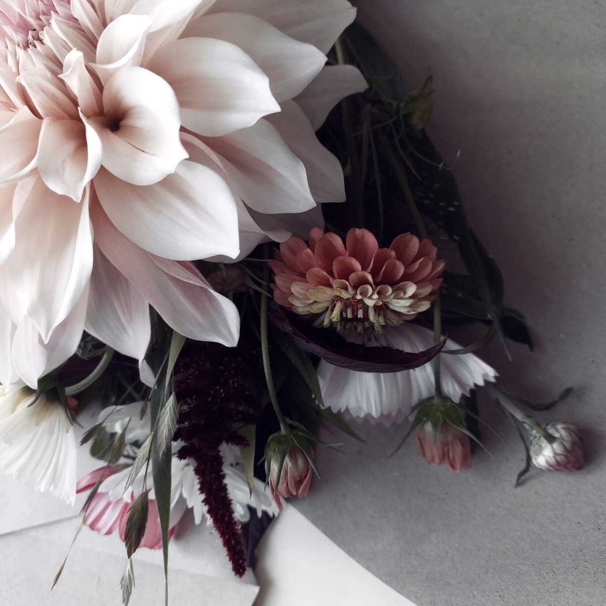 dahlie homepage feste.jpg